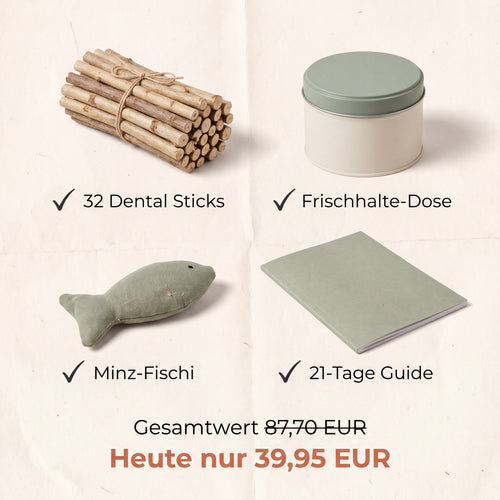 MIORIA® - Dental Sticks