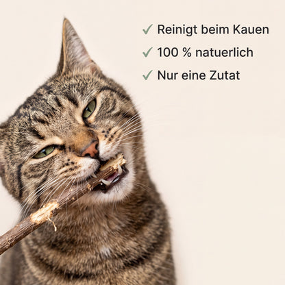 MIORIA® - Dental Sticks