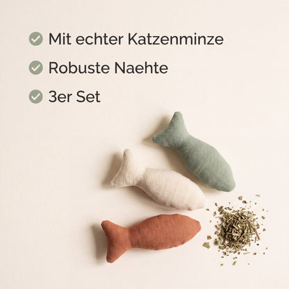 MIORIA® - Minz-Fischis